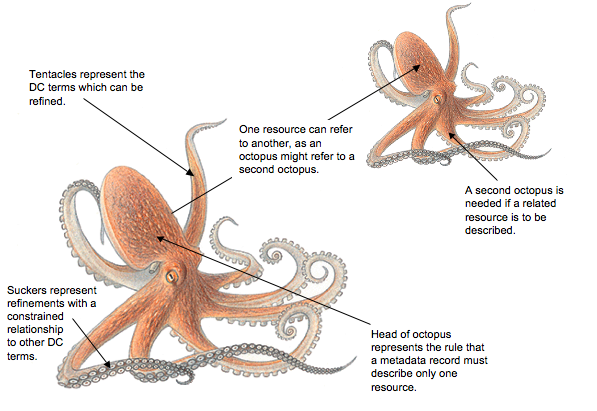 octopus-annotated